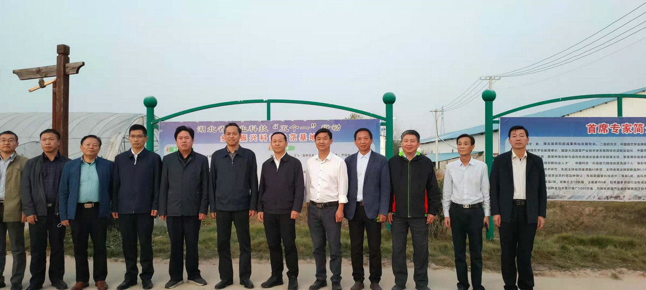 湖北省農(nóng)業(yè)農(nóng)村廳黨組成員、省農(nóng)業(yè)科學(xué)院黨委書記劉曉洪來我公司基地調(diào)研指導(dǎo)工作